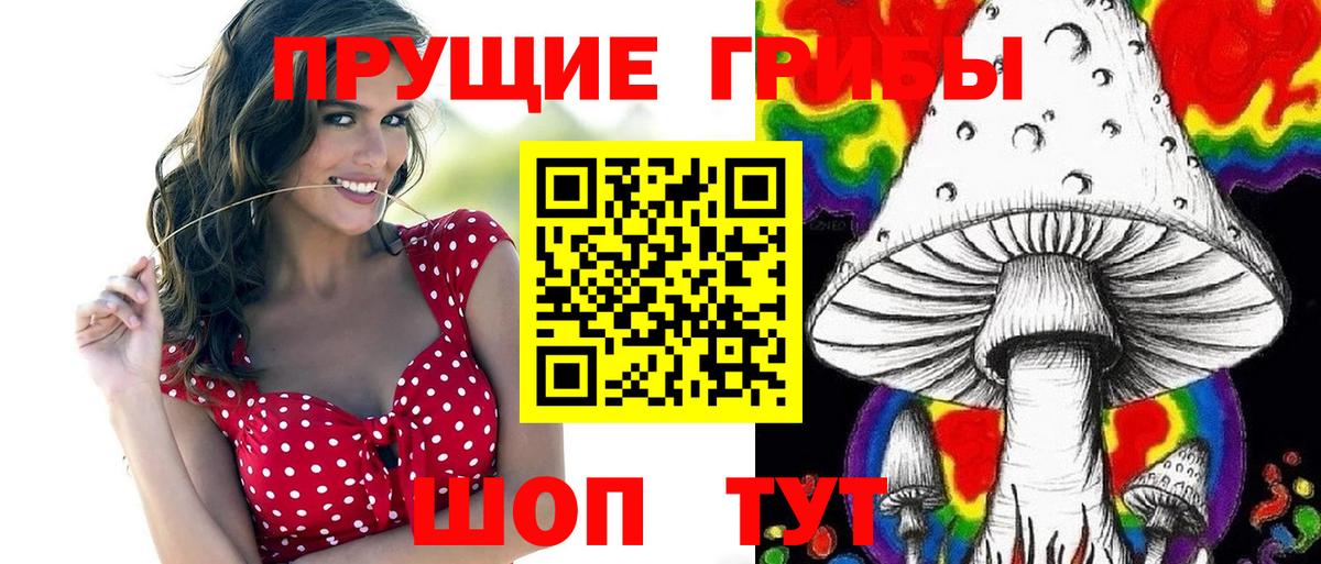 Псилоцибиновые грибы Psilocybine cubensis Вичуга