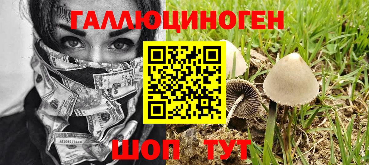 Псилоцибиновые грибы GOLDEN TEACHER  Псилоцибиновые грибы Cubensis  Вход с VPN  Вичуга 